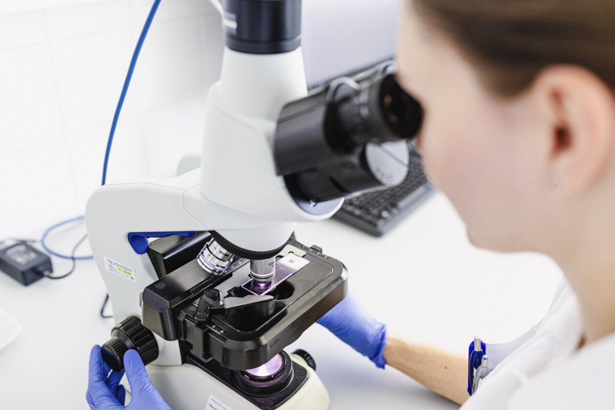 Různá spotřeba glukózy v&nbsp;nádorových buňkách: co nám napovídá o&nbsp;chování rakoviny?